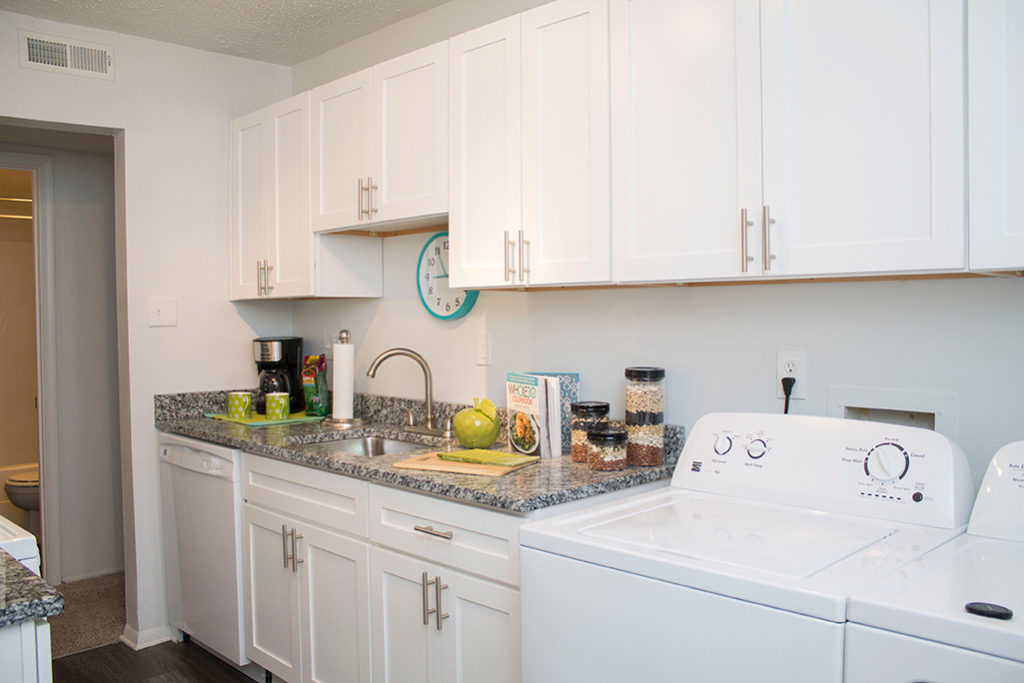 Multi-Family Kitchen and Bathroom Renovations